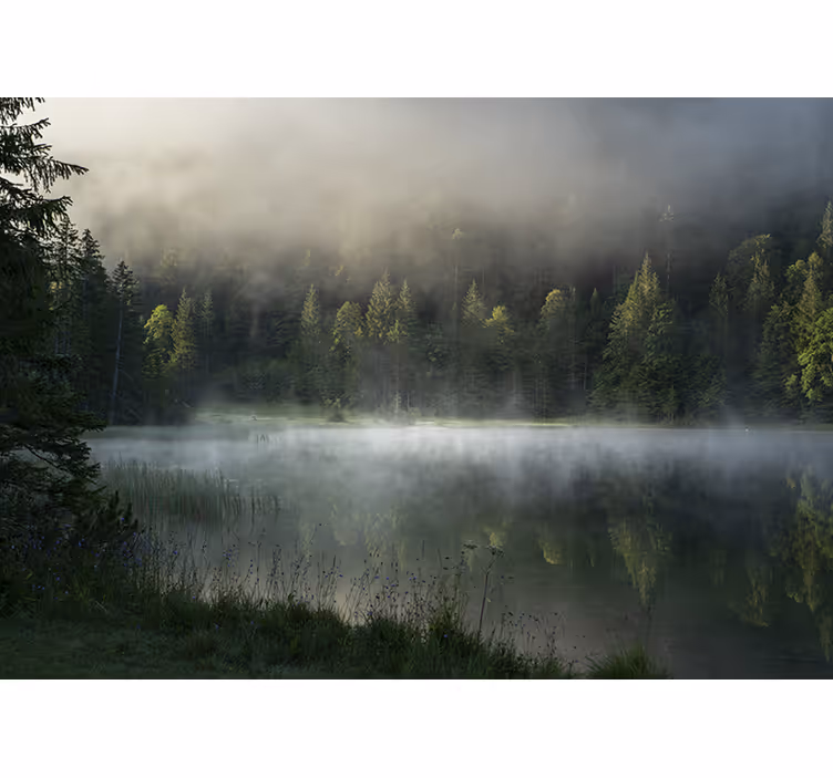 Fototapeta natura jezioro w mglistym spokoju - TenStickers