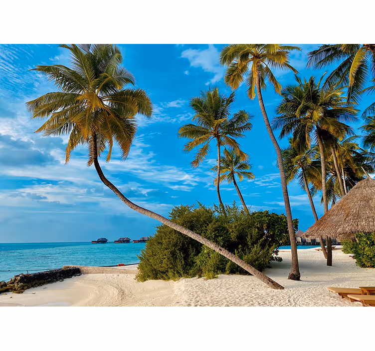 Fototapeta natura krajobraz tropikalnych palm - TenStickers