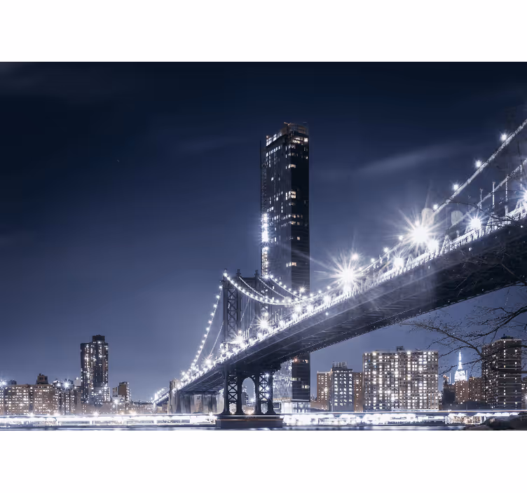 Fototapeta nowy jork widok na most brooklyn w nocy - TenStickers