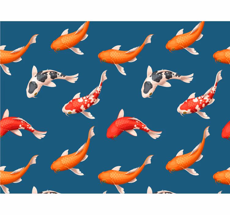 Fototapeta zwierzęta kolorowe ryby koi - TenStickers