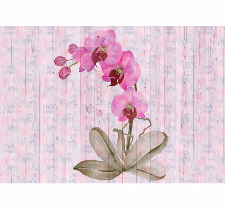 Fototapeta w kwiaty kwiaty różowej orchidei - TenStickers