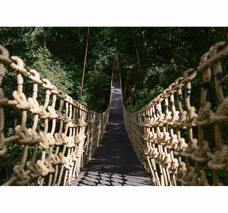 Fototapeta natura zawieszona Ścieżka w lesie - TenStickers