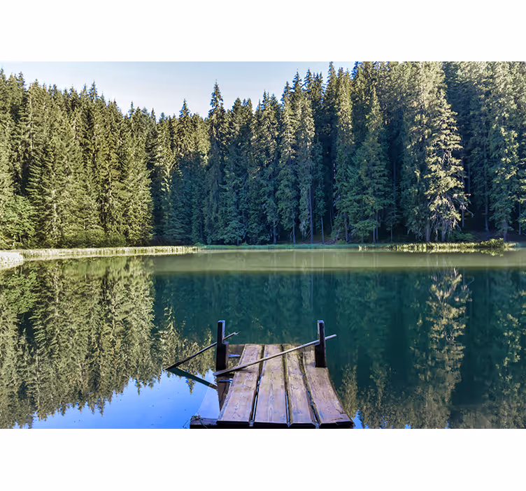 Fototapeta natura odbicie spokojnego lasu - TenStickers