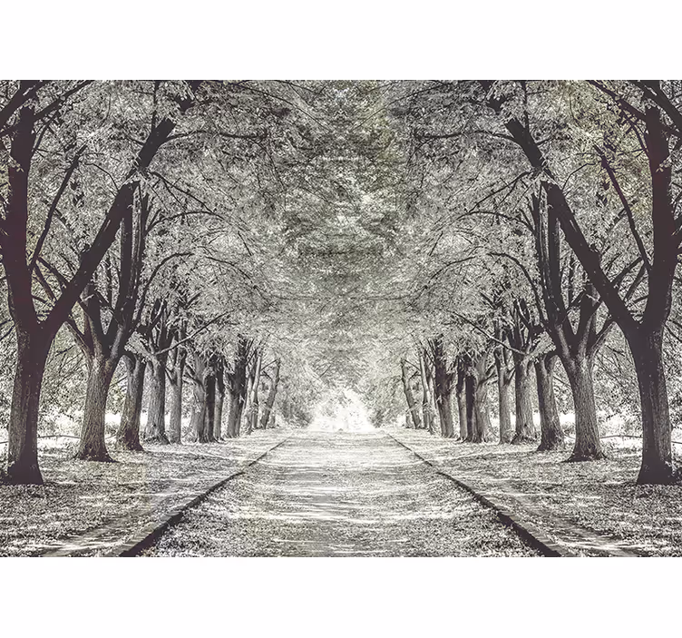 Fototapeta natura Ścieżka drzew w spokoju - TenStickers
