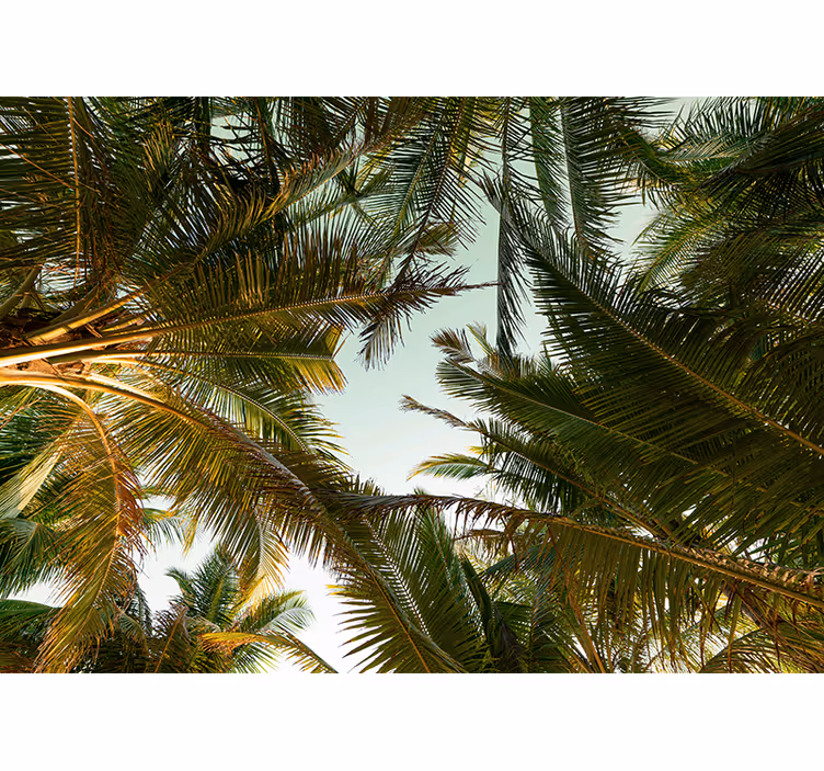 Tapetya natura liście palm tropikalnych - TenStickers