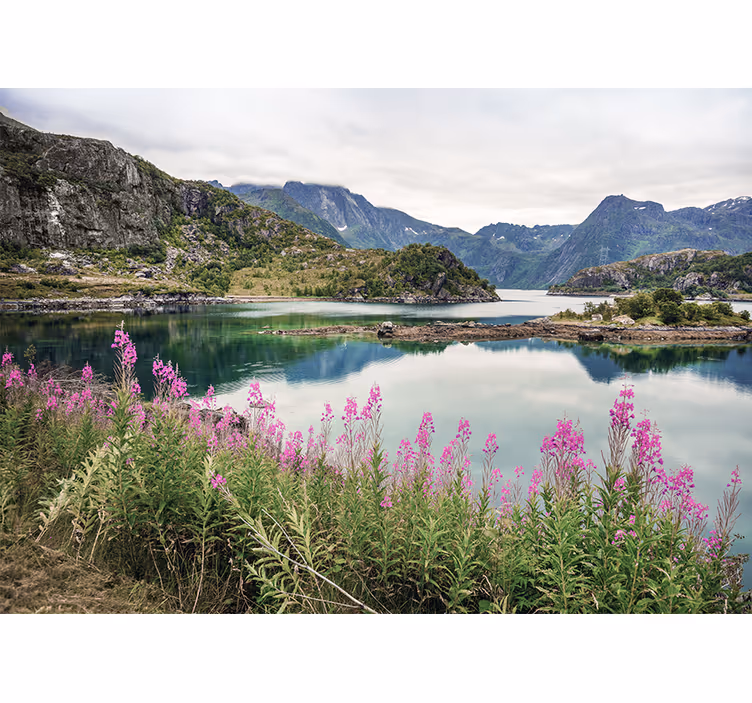Fototapeta krajobraz malowniczy fiord norweski - TenStickers