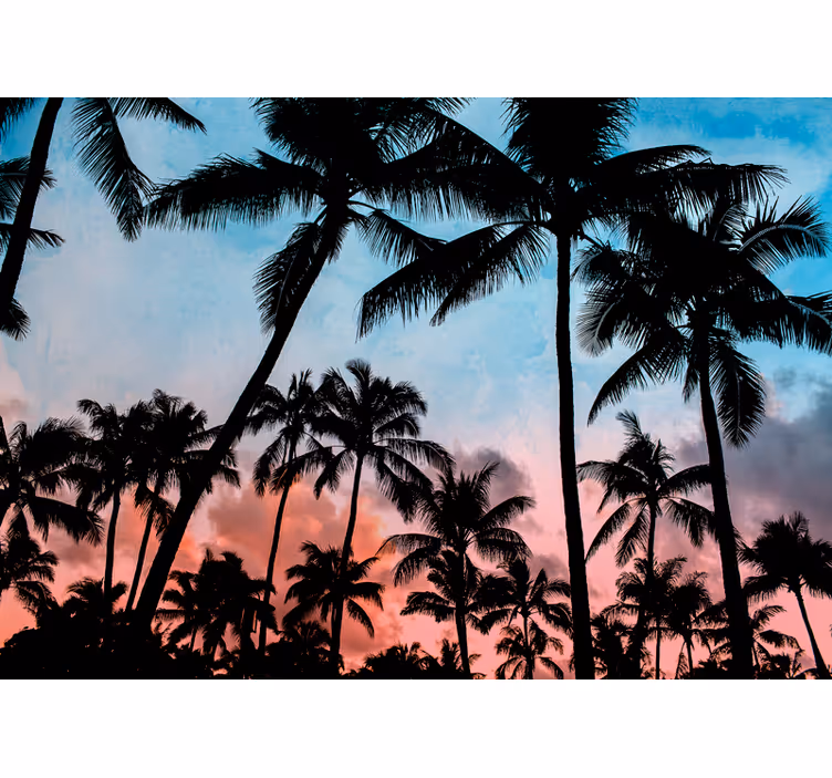 Fototapeta natura cienie tropikalnych palm - TenStickers