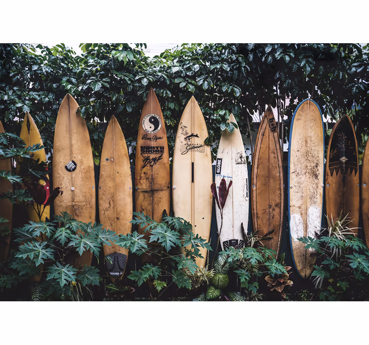 Fototapeta z pojazdami deski surfingowe na wystawie - TenStickers