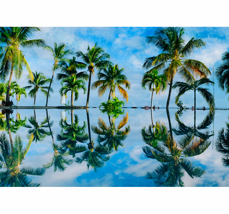 Fototapeta natura odbicia bujnych palm - TenStickers