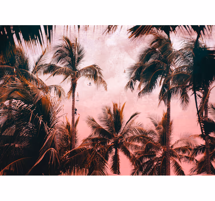 Fototapeta natura oaza palm tropikalnych - TenStickers