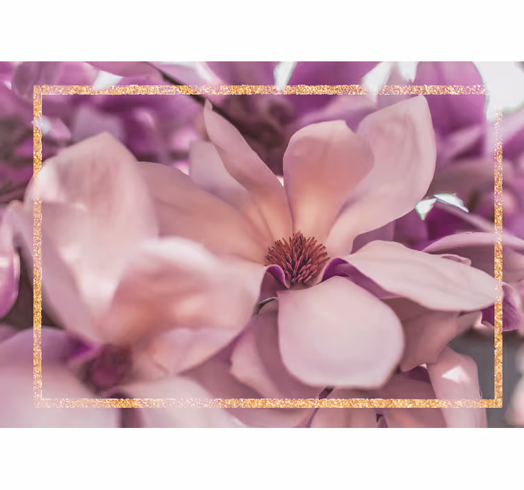 Fototapeta w kwiaty kwiat magnolii z bliska - TenStickers