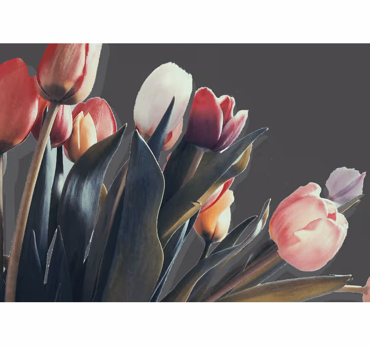 Fototapeta w kwiaty tulipanowy kwiatowy motyw - TenStickers