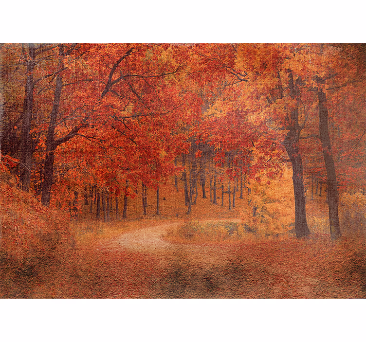 Fototapeta natura Ścieżka w rustykalnej jesieni - TenStickers
