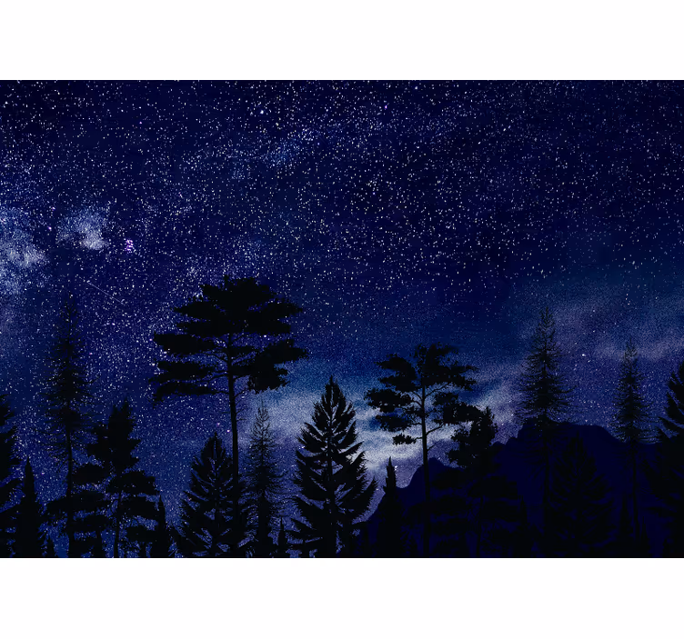 Fototapeta niebo silhouetty leśnych gwiazd - TenStickers