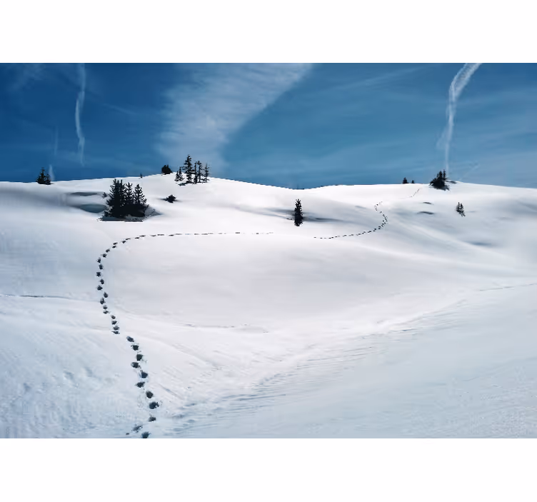 Fototapeta góry śnieżna górska ścieżka - TenStickers