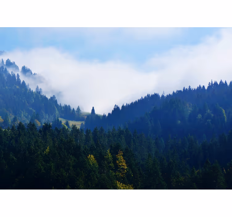 Fototapeta natura góry i mgła - TenStickers