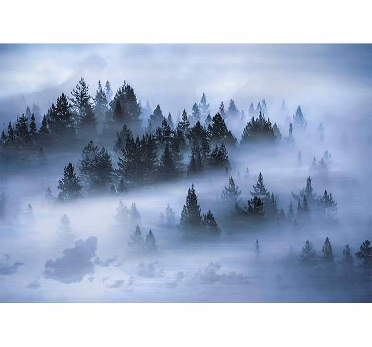 Fototapeta natura zasłonięte wiecznie zielone lasy - TenStickers