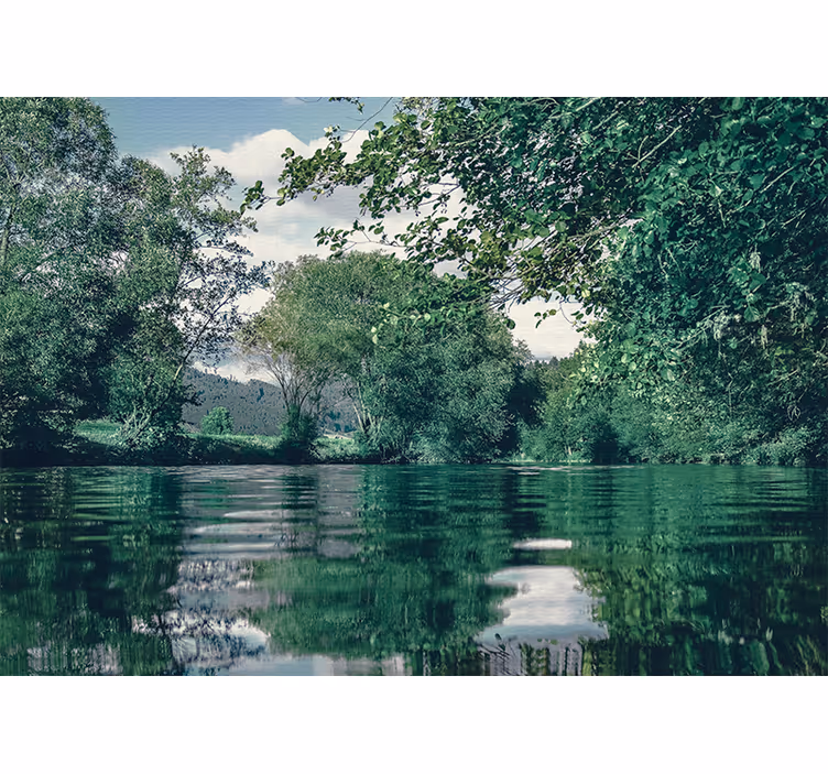 Fototapeta natura spokojny krajobraz rzeki - TenStickers
