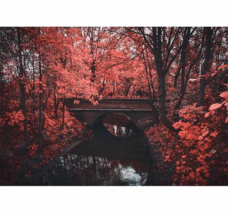 Fototapeta natura leśna sceneria z czerwonymi liśćmi - TenStickers
