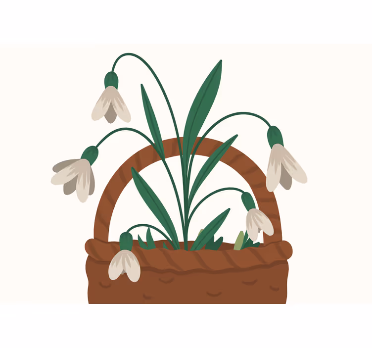 Fototapeta w kwiaty delikatne kwiaty Śniegu - TenStickers