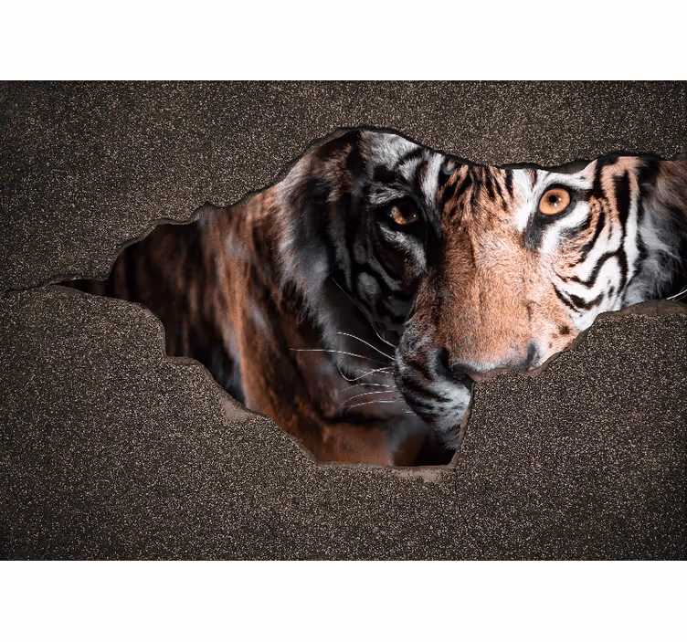 Fototapeta ze zwierzętami zbliżenie na tygrysa - TenStickers