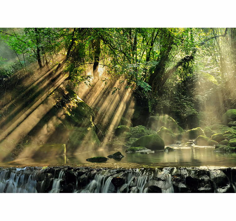 Fototapeta natura strumień leśny oświetlony słońcem - TenStickers