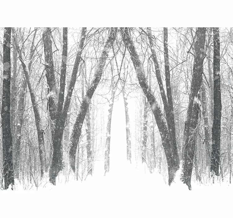 Fototapeta las zaśnieżona leśna ścieżka - TenStickers