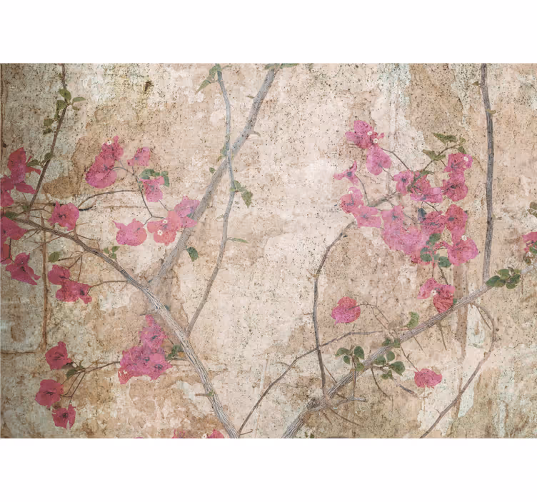 Fototapeta w kwiaty kwiaty bougainvillei w różu - TenStickers