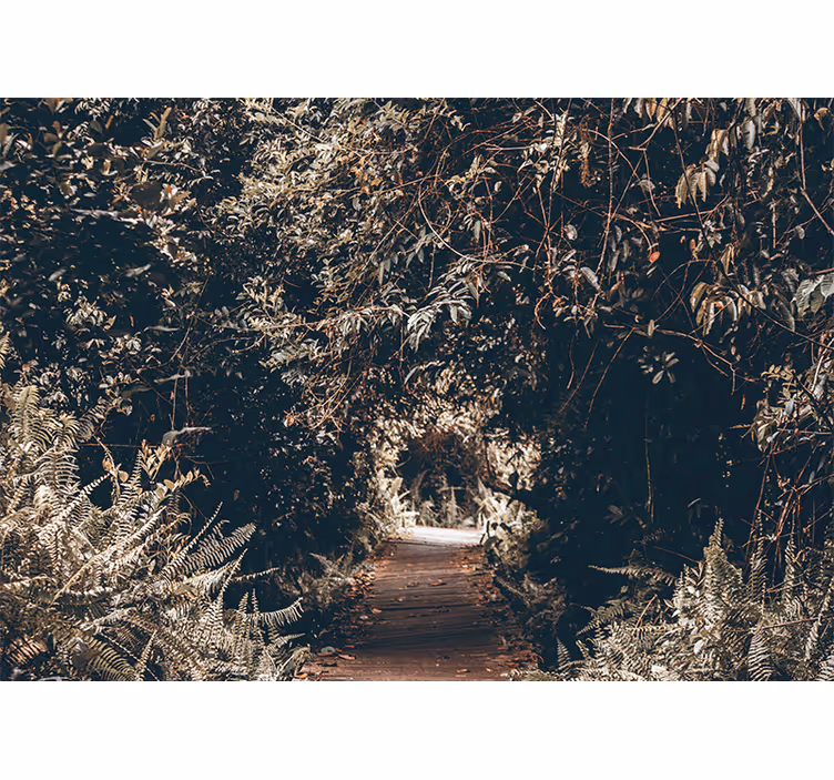Fototapeta natura Ścieżka leśna - TenStickers