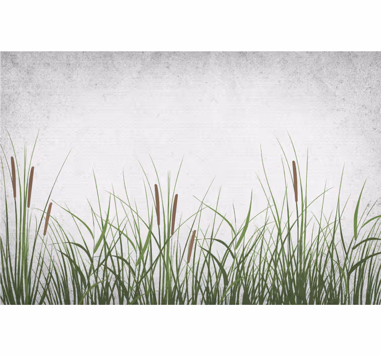 Fototapeta w kwiaty tulipany i trawa - TenStickers