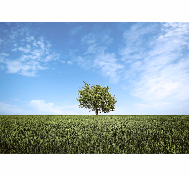 Fototapeta natura sceneria samotnego drzewa - TenStickers
