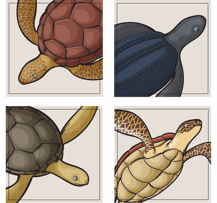 Podstawka pod kubek geek kolorowe ilustracje żółwi - TenStickers