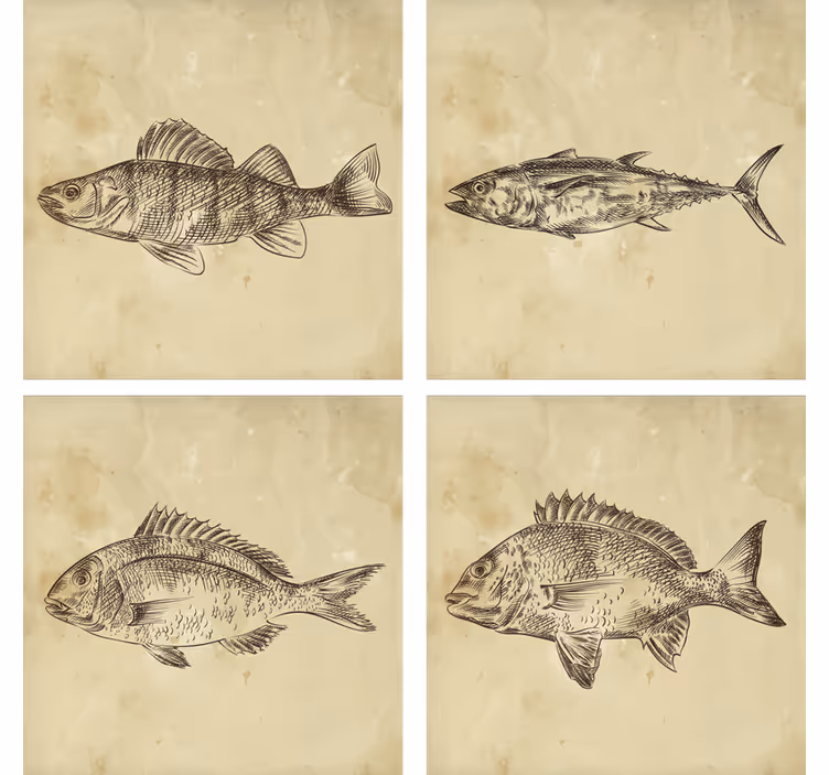 Vintage podstawki pod kubek ryba - TenStickers