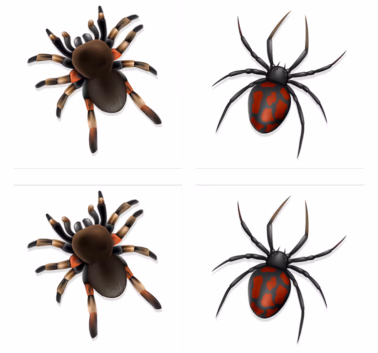 Realistyczna podkładka pod kubek na Halloween pająk - TenStickers