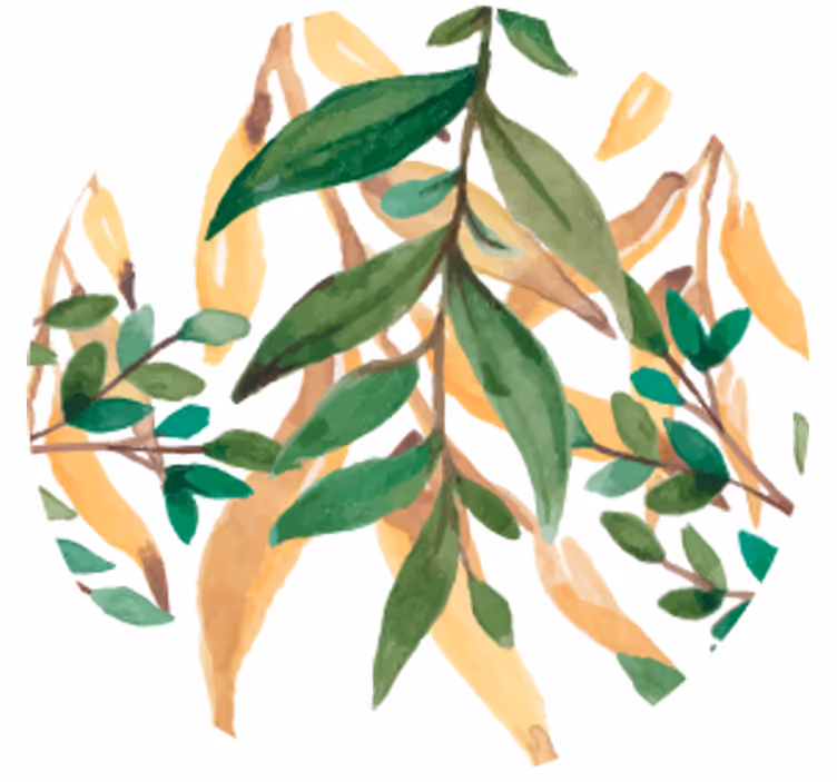 Podkładka pod piwo zielona roślina botaniczna - TenStickers