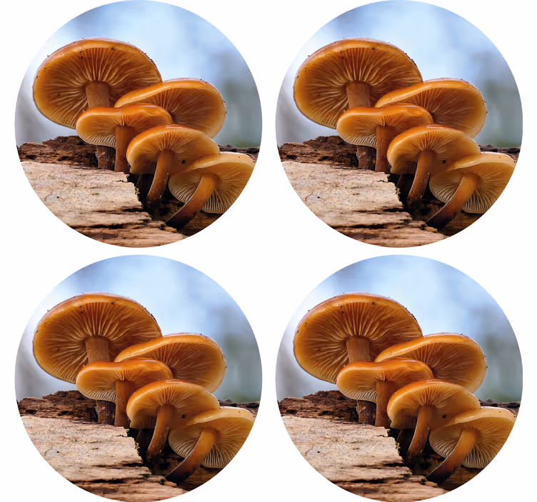 Nowoczesna podkładka pod kubek ułożenie grzybów - TenStickers
