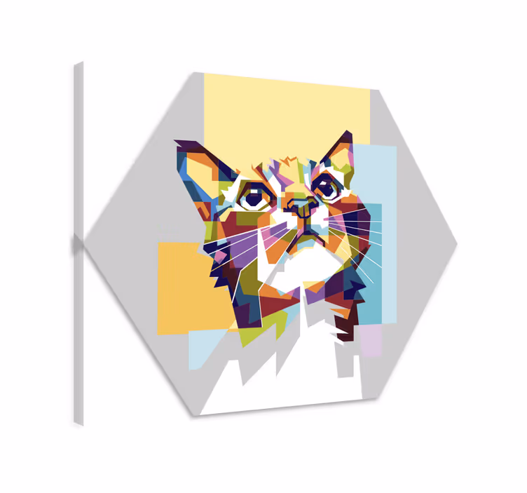 Obraz koty kolorowa nadzieja - TenStickers
