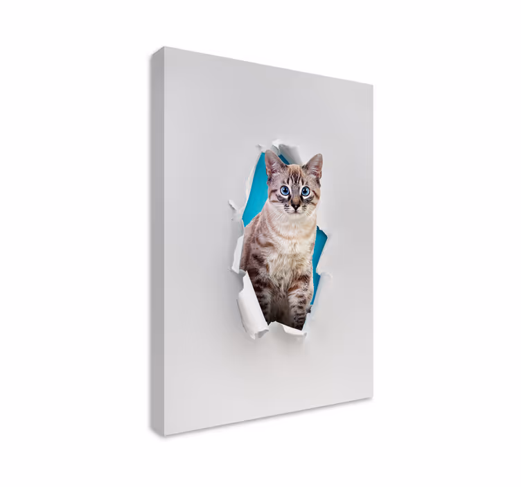 Obraz koty w różnych pozach i kolorach - TenStickers