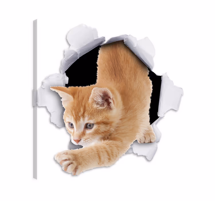 Obraz koty dekoracyjna naklejka z efektem 3d - TenStickers