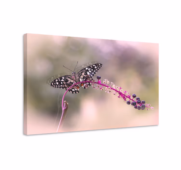 Obraz motyle fioletowy motyl - TenStickers