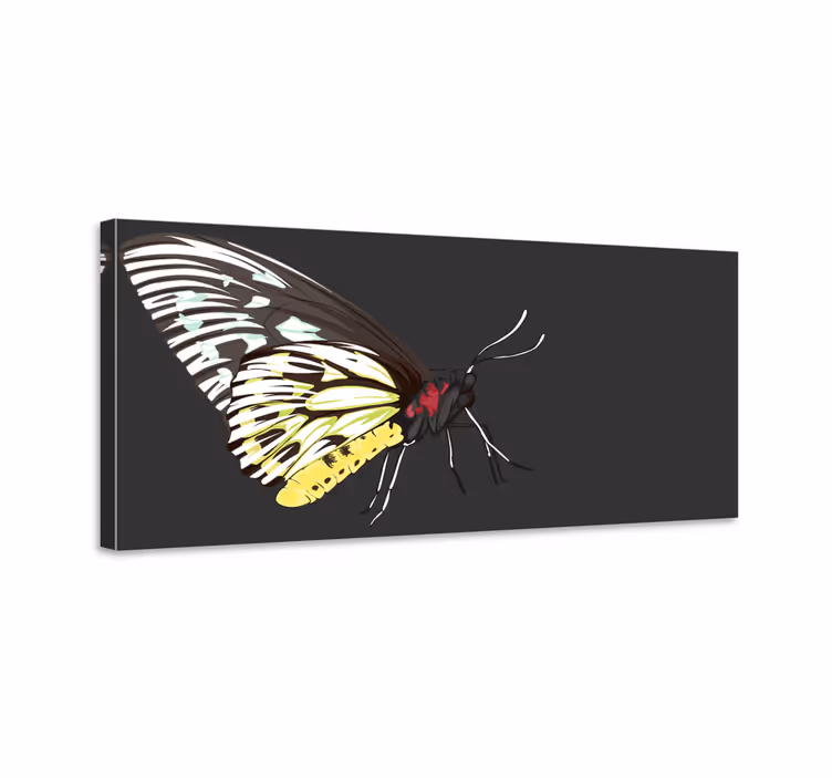 Obraz motyle realistyczny szczegółowy żółty motyl - TenStickers
