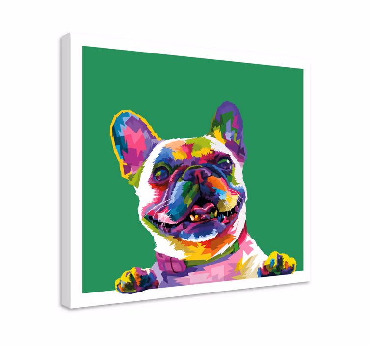 Pies obraz Buldog francuski tęcza - TenStickers