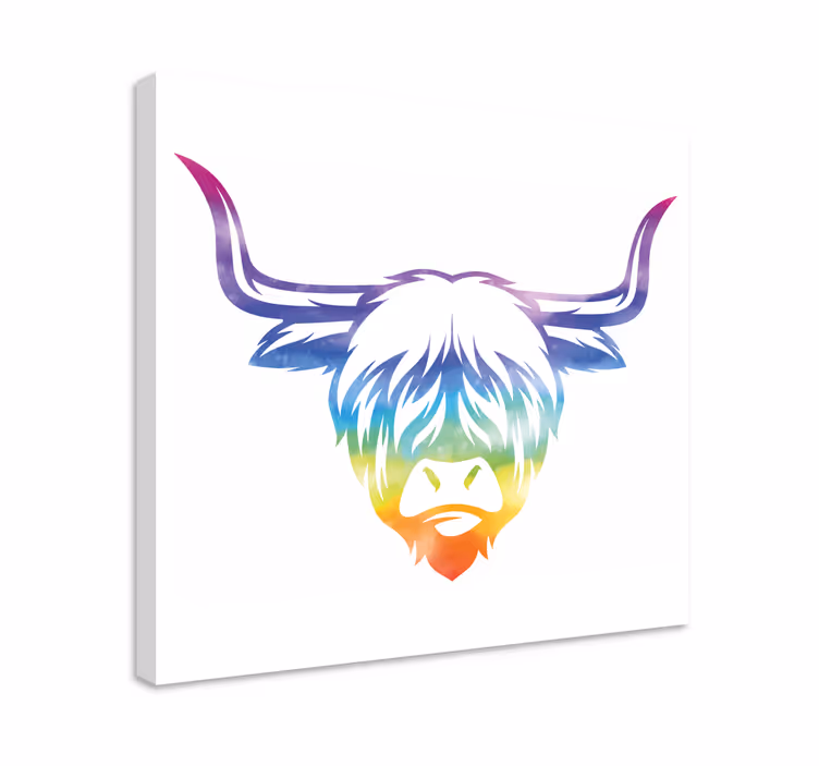 Obraz ze zwierzętami kolorowa krowa z highlands - TenStickers