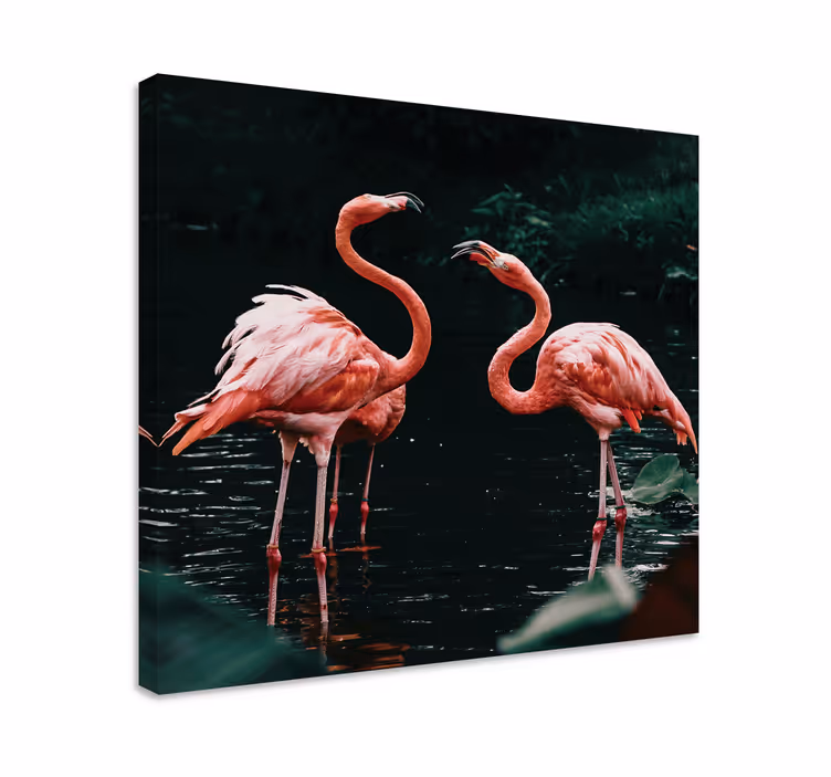 Obraz ptaki flamingi o zmierzchu - TenStickers
