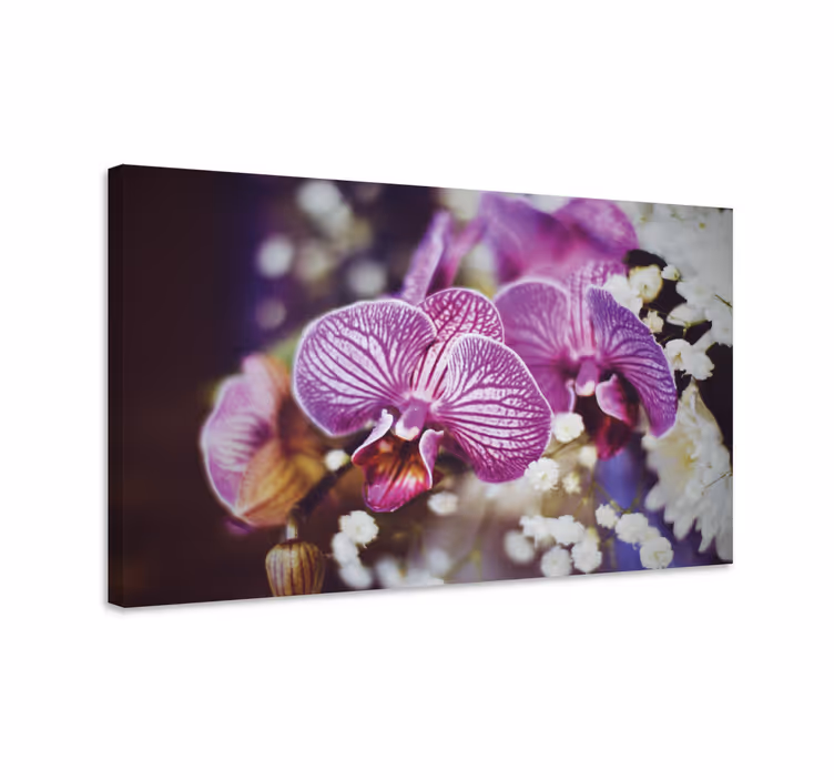 Obraz kwiaty i rośliny szczegóły orchidei - TenStickers
