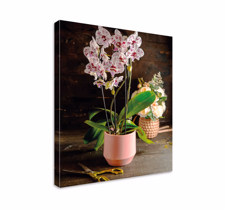 Obraz kwiaty i rośliny kompozycja z orchidei - TenStickers