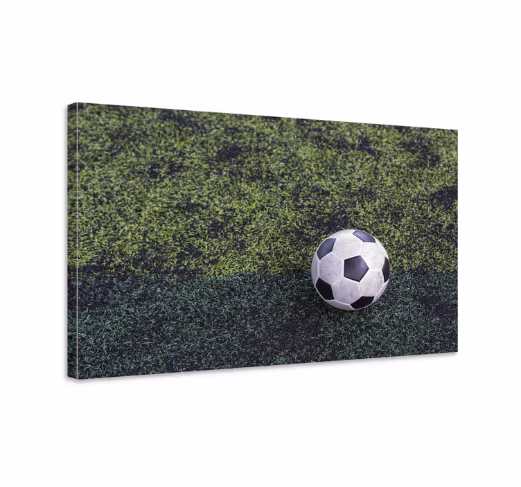 Obraz sport piłka nożna na trawie - TenStickers