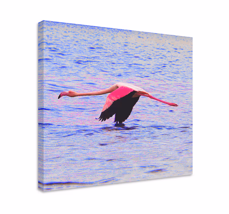Obraz ryby flamingo w locie - TenStickers