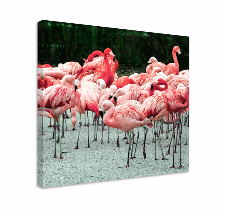 Obraz ptaki stado flamingów - TenStickers
