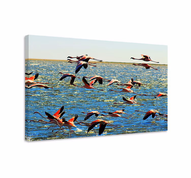 Obraz ptaki flamingi w locie - TenStickers